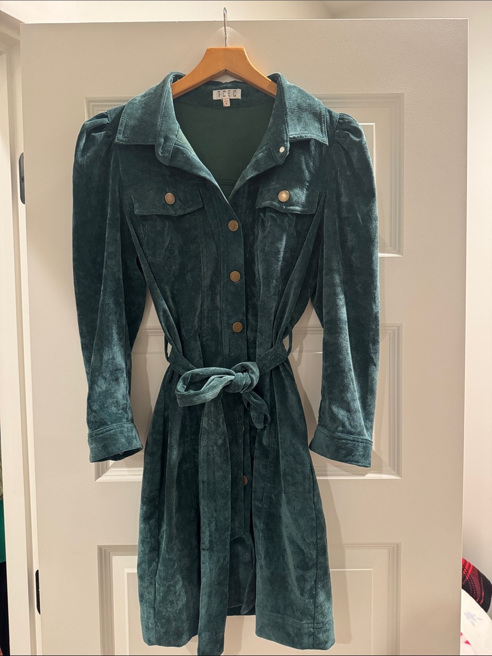 Velvet Button-Front Belted Dress in emerald green
